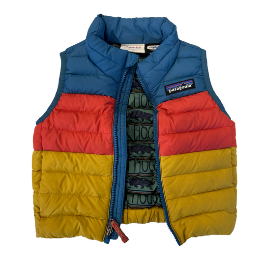 Patagonia Puffer Vest